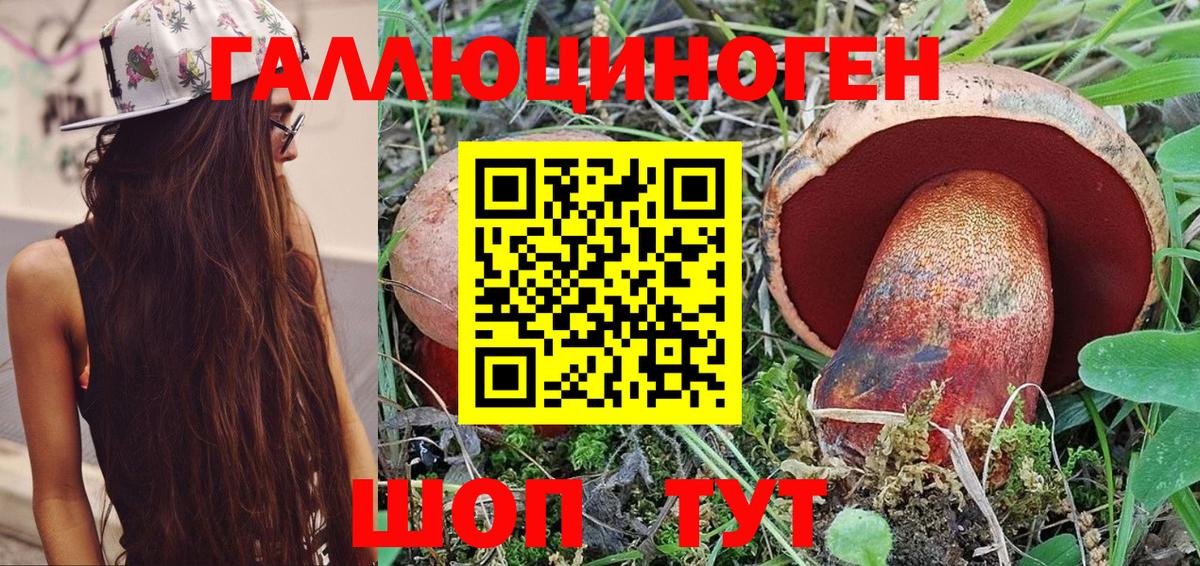 Тара  Псилоцибиновые грибы GOLDEN TEACHER  Вход с VPN 